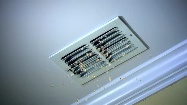 Best Best Air Duct Cleaning Near Me  in Fort Pierce North, FL